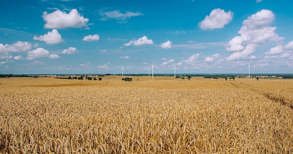 why-choose-us Expansive wheat field with wind turbines against a bright blue sky and fluffy clouds.