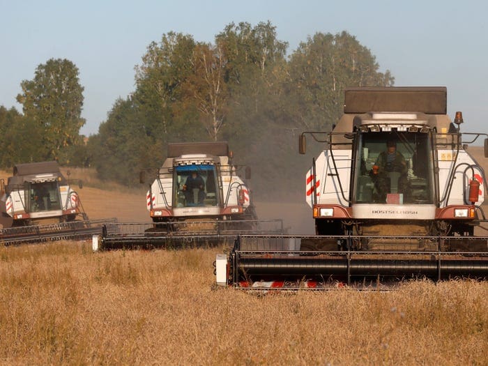 siberia wheat harvest